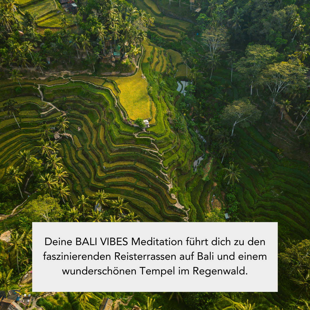 BALI VIBES (110g Kerze mit Holzdocht)