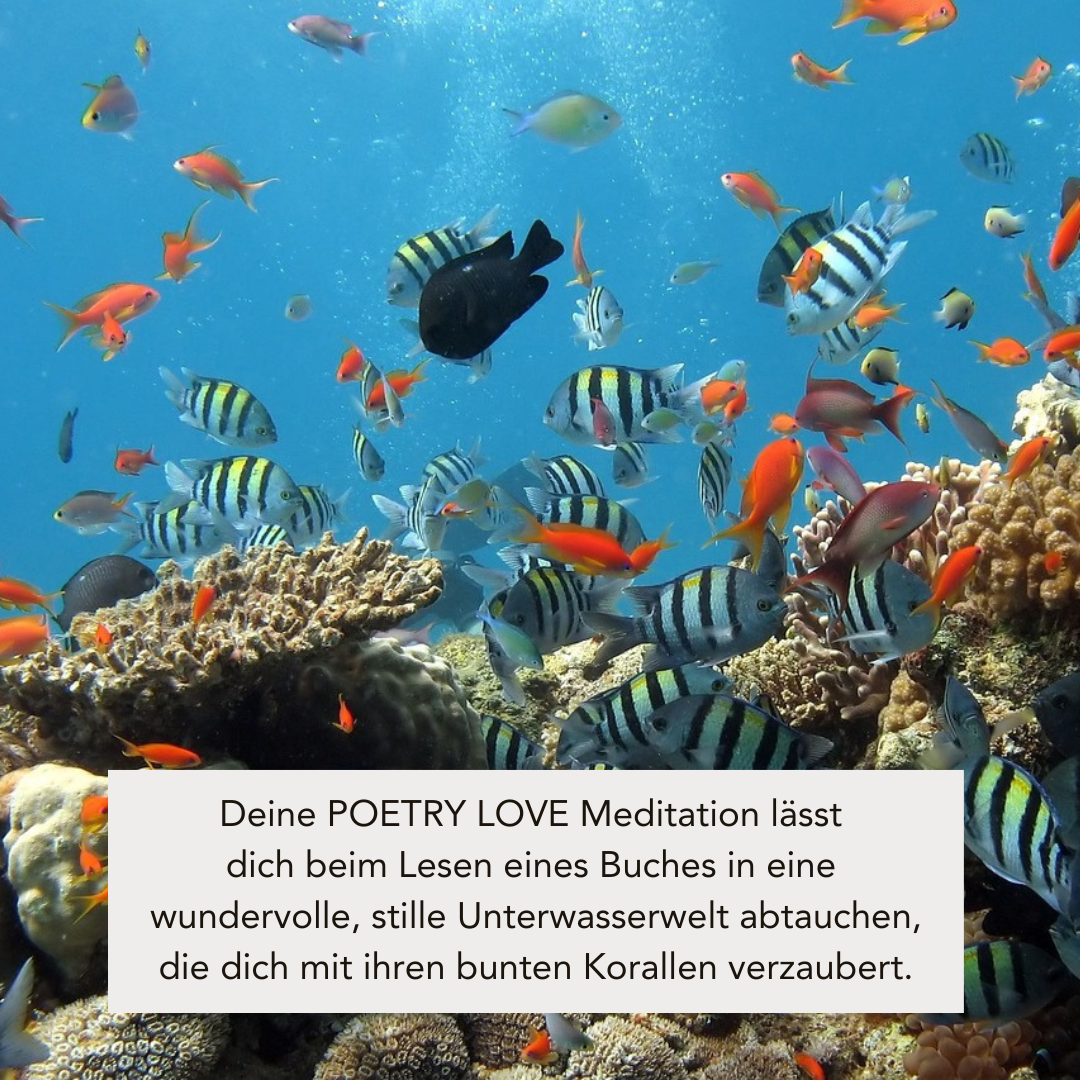 POETRY LOVE (110g Duftkerze mit Holzdocht)
