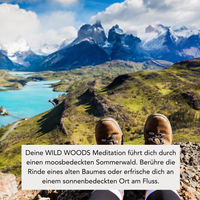 WILD WOODS (300g Kerze) MEDITATION: Alpenüberquerung