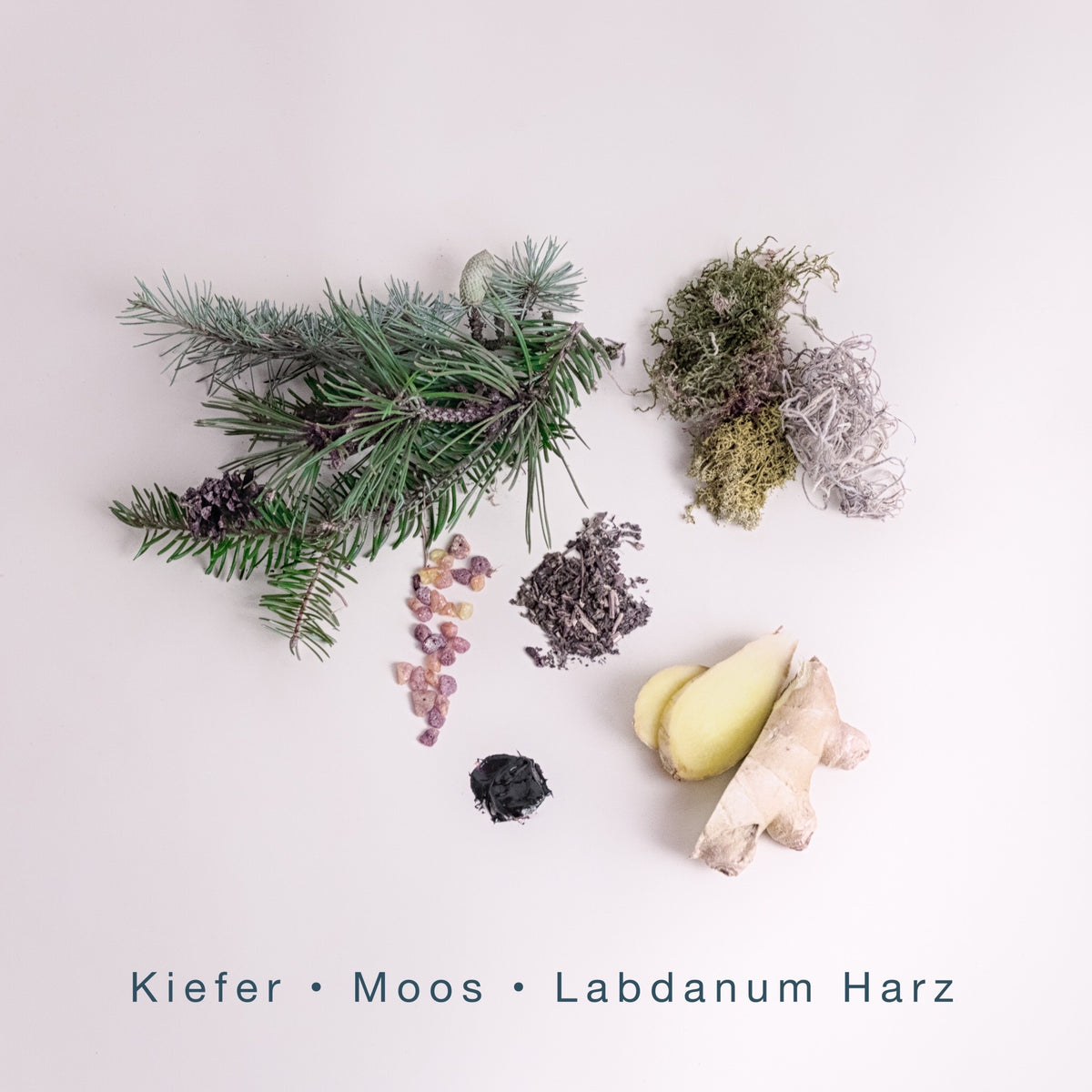 WILD WOODS (110g Duftkerze mit Holzdocht)