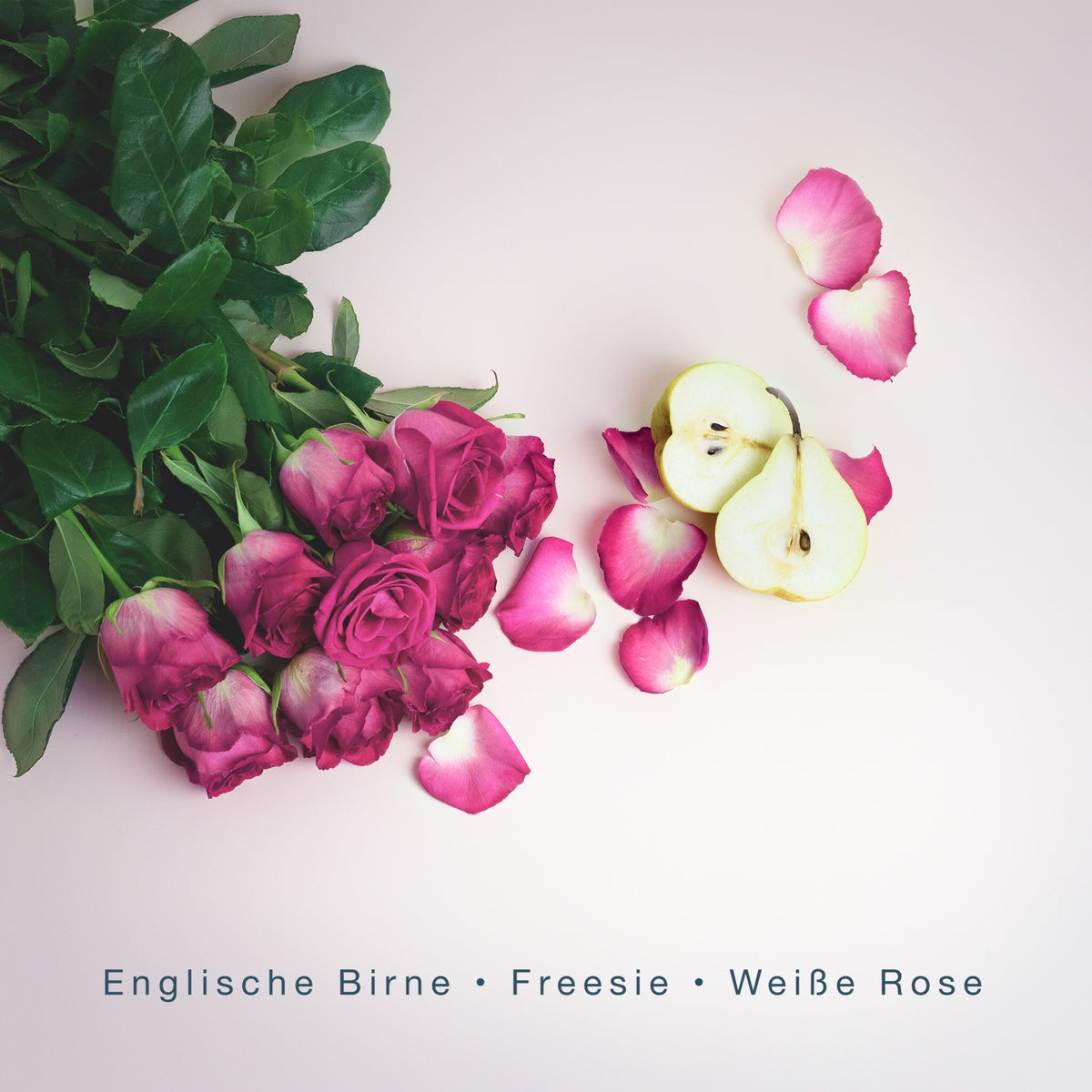 POETRY LOVE (300g Kerze) MEDITATION: Tauchgang zum Korallenriff