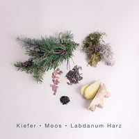 WILD WOODS (300g Kerze) MEDITATION: Alpenüberquerung