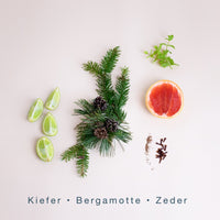 WINTER WALK (110g Duftkerze mit Holzdocht)
